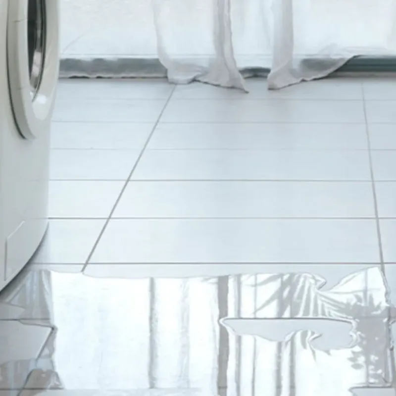 Appliance Leak Cleanup in Sylvania, AL